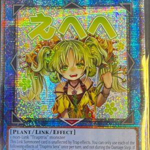 Traptrix Sera - Rarity Collection 5 (RA05)