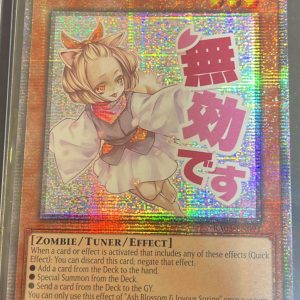 Ash Blossom & Joyous Spring (Starlight Rare) - Rarity Collection 5 (RA05)